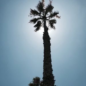 Meet your Posher, Hailey